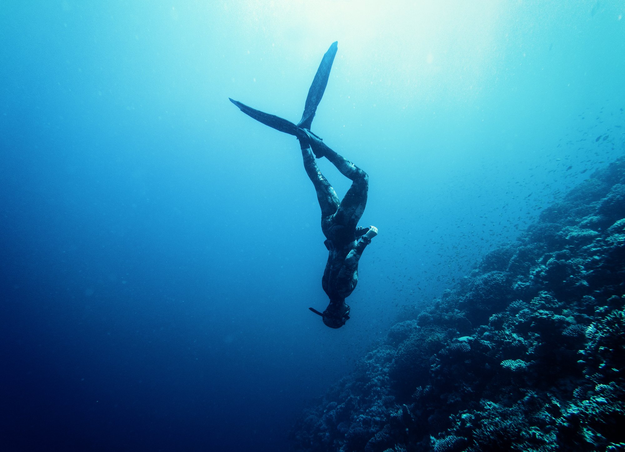 Deepest Free Dive Freediving Records Surfango The 1 Source For 